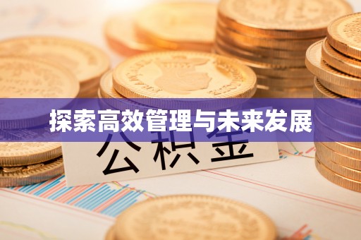 苏尼特右旗探索高效管理与未来发展