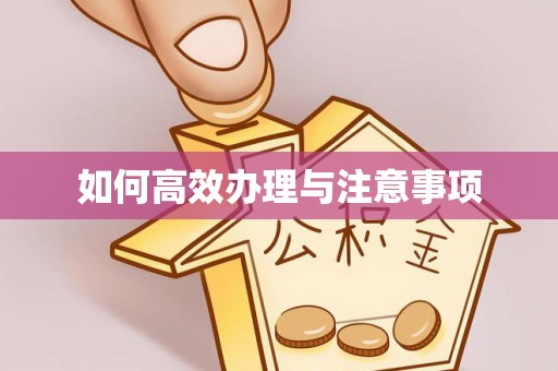 苏尼特右旗如何高效办理与注意事项