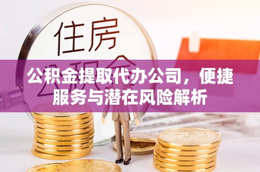 苏尼特右旗公积金提取代办公司，便捷服务与潜在风险解析