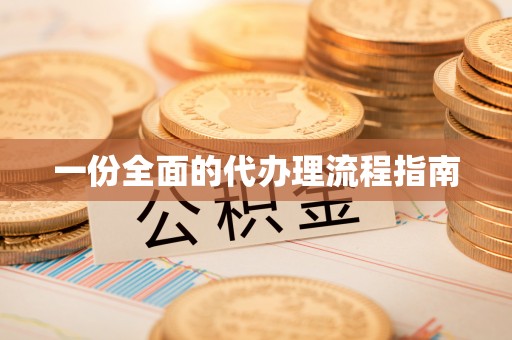 苏尼特右旗一份全面的代办理流程指南